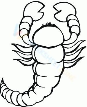 Scorpion in Closer View