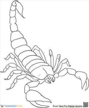 Crawling Scorpion Adventure