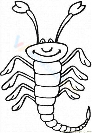 Discover a Smiley Scorpion