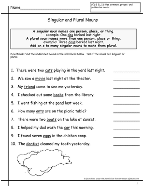 Singular & Plural Nouns - Identify in Sentences 