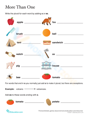 More Than One – Write the Plural