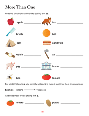 More Than One – Write the Plural
