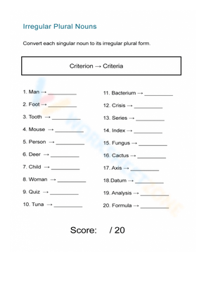 Practice Irregular Plural Nouns Worksheet