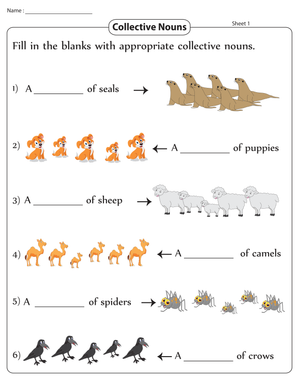 Collective Nouns Worksheet for Kids