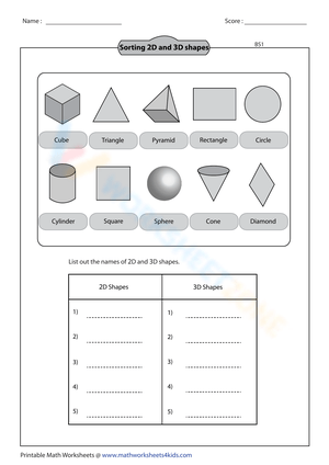 Sorting 2D and 3D Shapes Worksheet