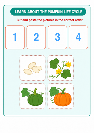 Essential Pumpkin Life Cycle Worksheet | Grade 3 Ready