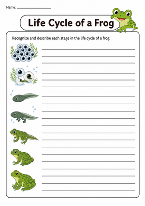 Frog Life Cycle Worksheet | Grade 3 Essential Science