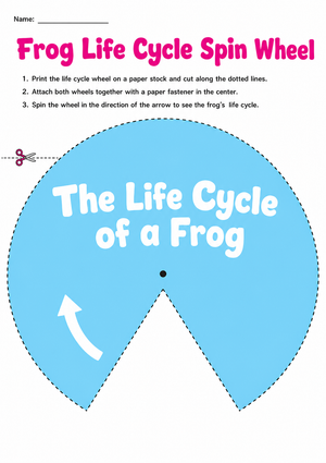 Printable Frog Life Cycle Spin Wheel | Grade 3
