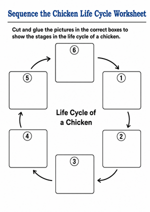 Chicken Life Cycle Worksheet | Grade 3 Essential