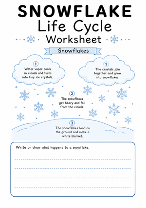 Snowflake Life Cycle Worksheet | Essential Grade 2 Science