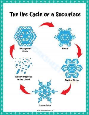 Explore the Snowflake Life Cycle