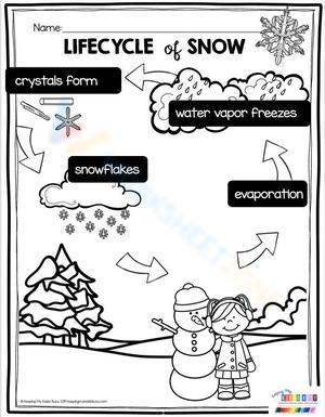 Understanding the Snow Life Cycle