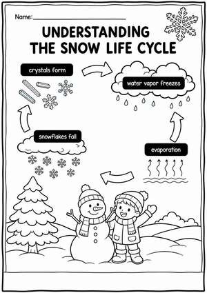 Printable Snow Life Cycle Worksheet | Grade 2 Science