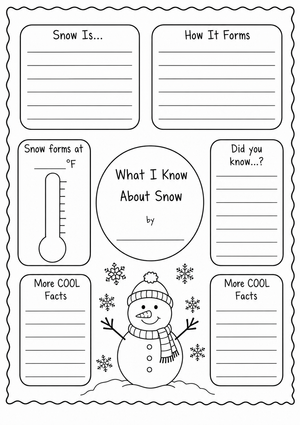 Grade 2 Snow Facts — Printable No-Prep Worksheet