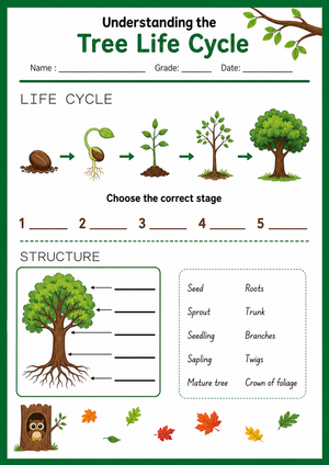 Understanding the Tree Life Cycle