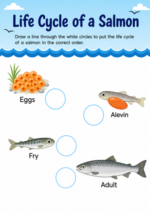 Grade 3 Salmon Life Cycle — Printable No-Prep Worksheet