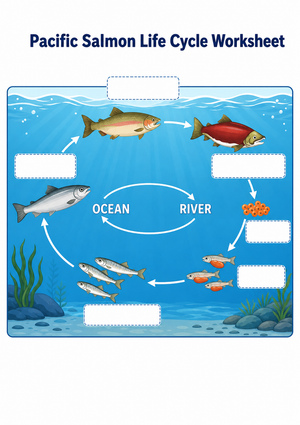 Pacific Salmon Life Cycle Worksheet | Essential Grade 3-5