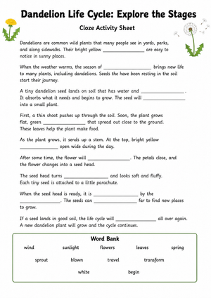 Grade 3 Dandelion Life Cycle — Printable No-Prep Worksheet