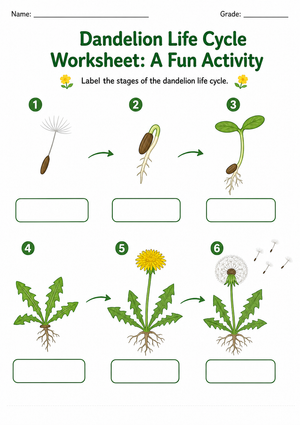 Printable Dandelion Life Cycle Worksheet | Grade 3 Science