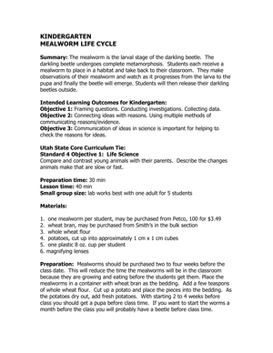 Mealworm Life Cycle: Detailed Worksheet
