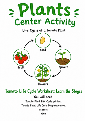 Tomato Life Cycle Worksheet | Grade 3 Essential Science