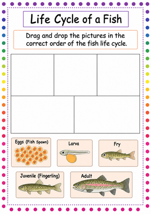 Grade 3 Fish Life Cycle — Printable No-Prep Worksheet
