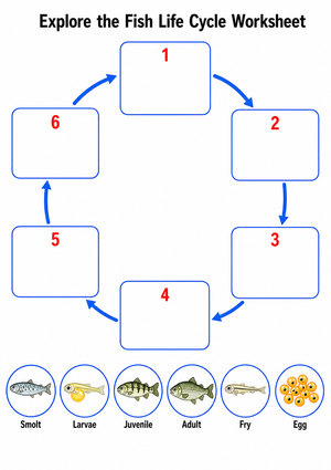 Essential Fish Life Cycle Worksheet | Grade 3 Science