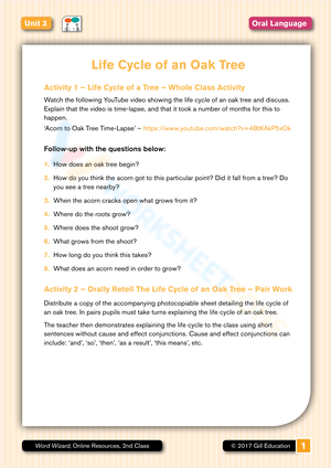 Grade 7 Oak Tree Life Cycle Worksheets 2024