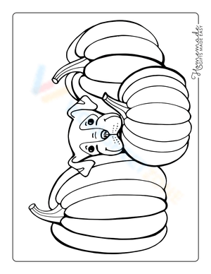 Cute Puppy with Pumpkin Havest