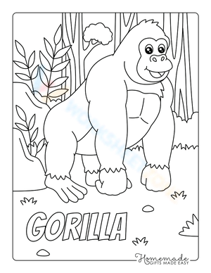 Gorilla 