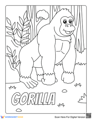 Gorilla 