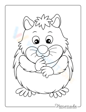 Cute Hamster