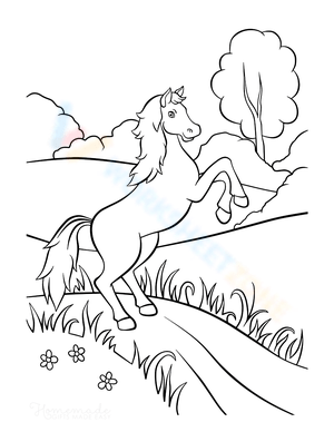 Horse in the Countryside