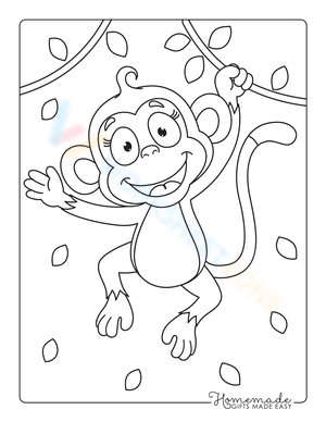 Cute Monkey