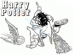 Harry Playing Quidditch Illustration