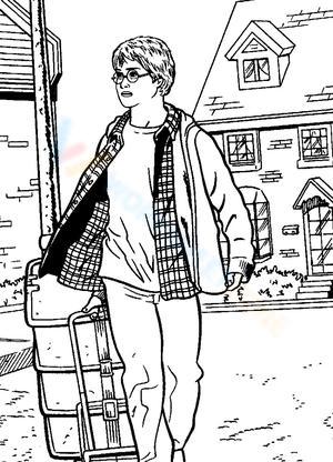 Harry and Luggage Bag