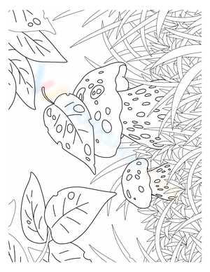 Mushroom and Falling Leaves Illustration