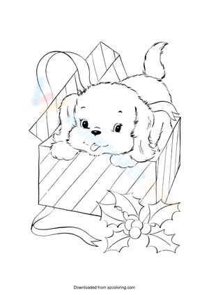 Dog in a Box Illustration Worksheet