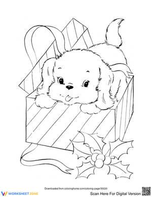 Dog in a Box Illustration Worksheet