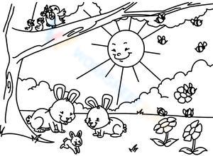 Spring in the Forest Illustration Worksheet