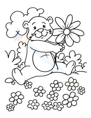 Bear with Spring Flowers Illustration Worksheet