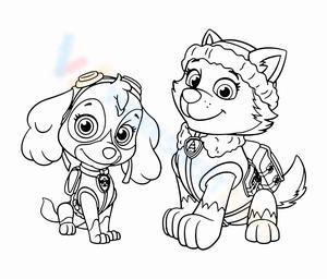 Everest Paw Patrol