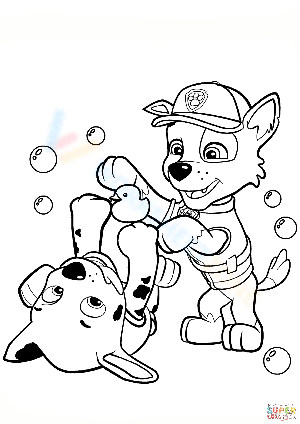 Rosky and Marshall