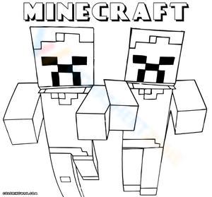 A Pair of Minecraft Characters Illustration Worksheet