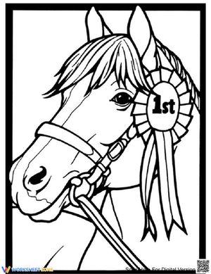 Horse Head Anatomy: An Artistic Study Guide