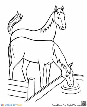 Horse drinking water