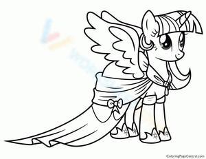 Luna with a coat