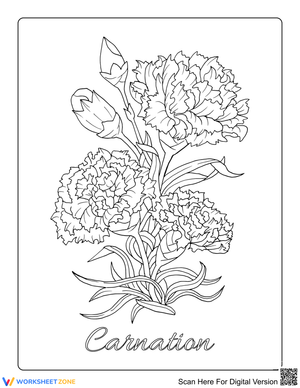 Realistic Carnations Printable Worksheet | Grade 5-12 Ready