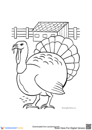 Turkey Farm Illustration