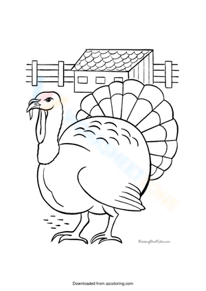 Turkey Farm Illustration